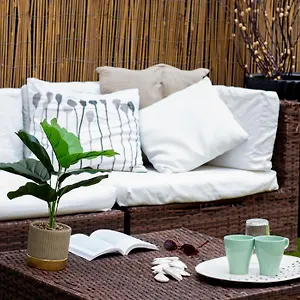 Mirage Bed & Breakfast
